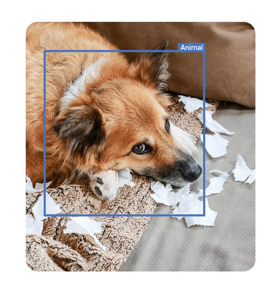 Indoor camera monitoring inside a living space