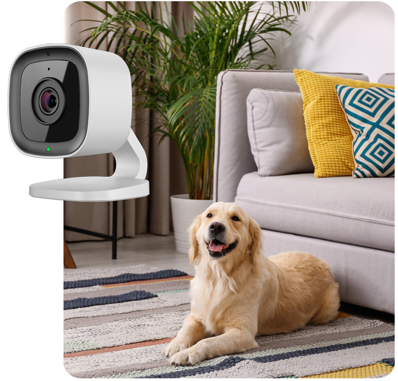 Indoor camera and pet monitoring visual