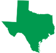 Texas state icon