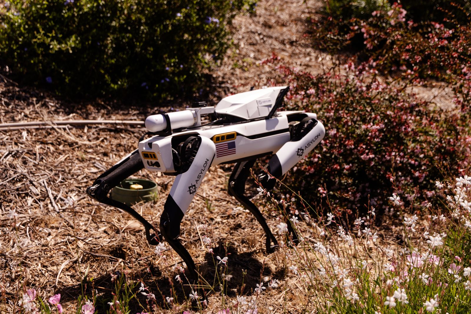 DroneDog robot patrolling through dense brush and rough terrain